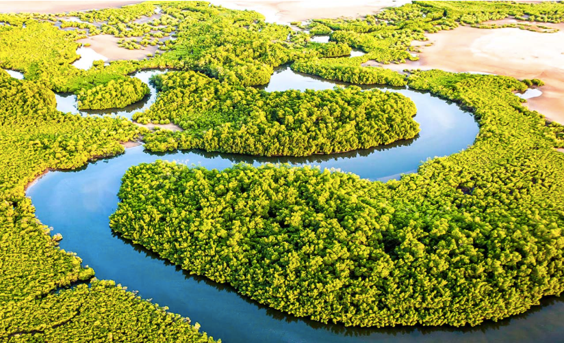 Vue aérienne des bolongs et de la mangrove du Saloum