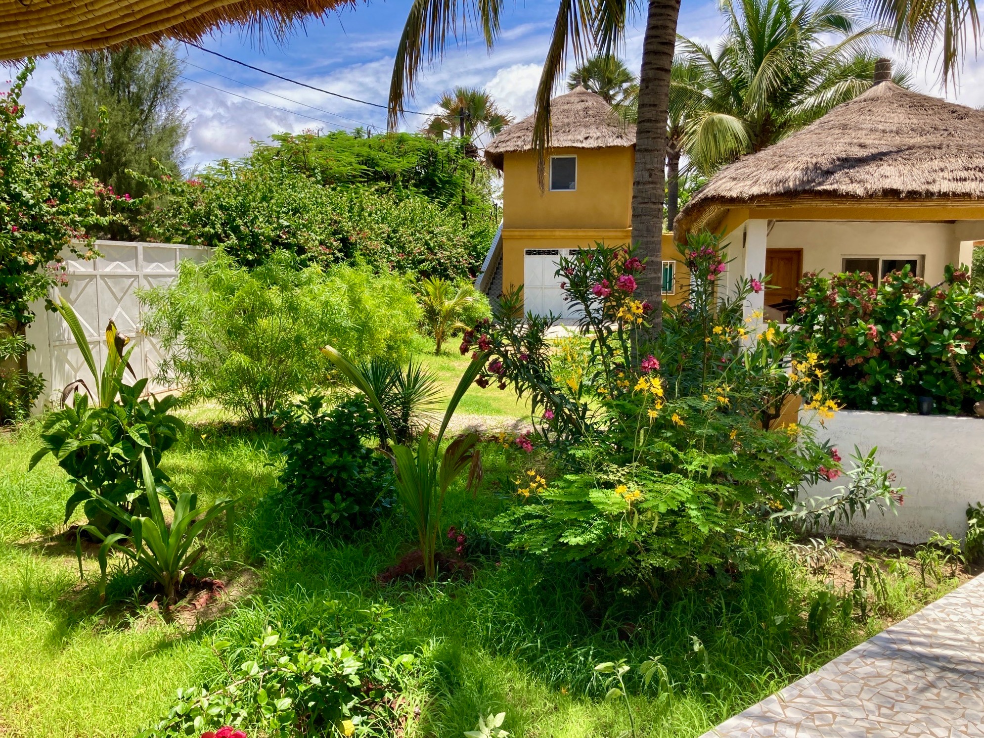 Jardin tropical et bungalows de la villa