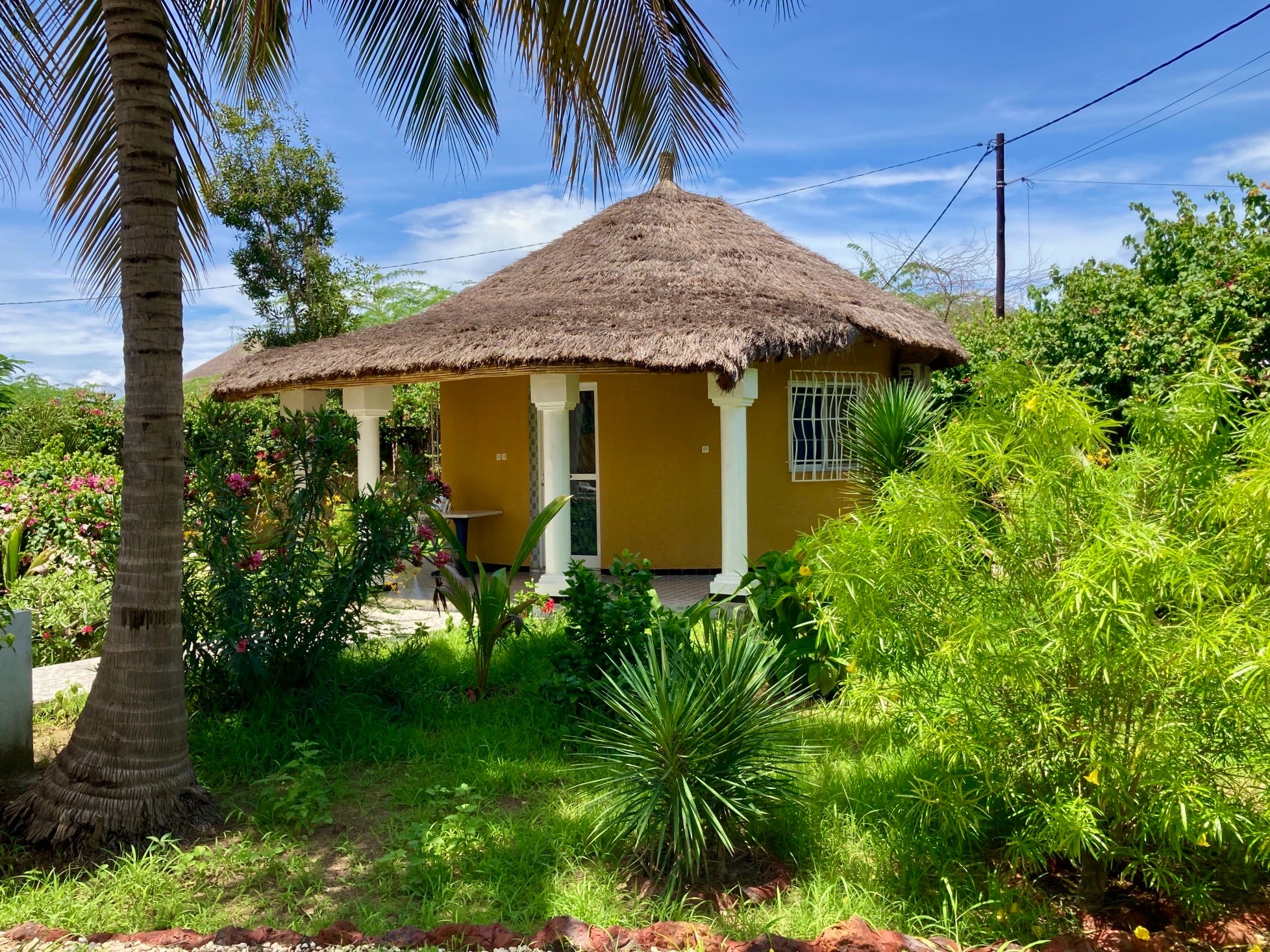 Bungalow et palmiers dans le jardin