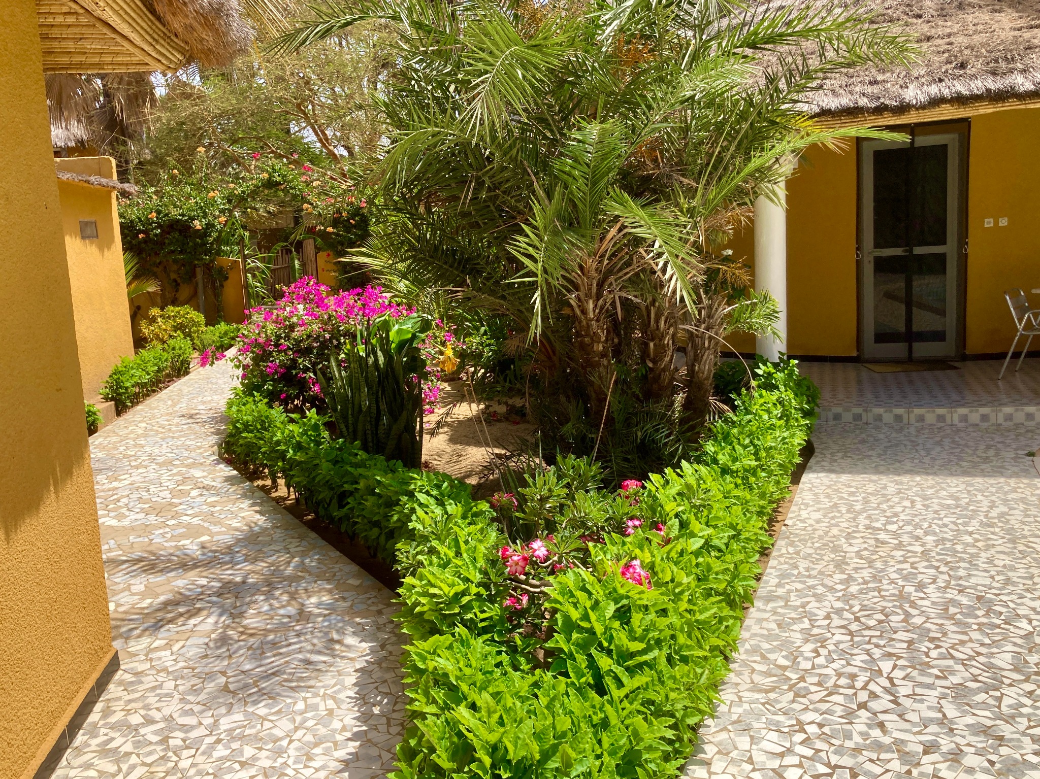 Allée pavée et végétation du jardin