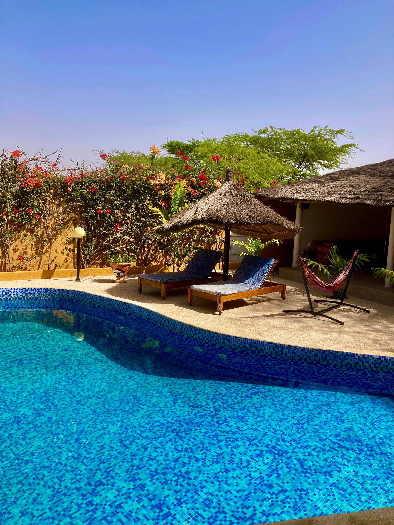 Piscine, transats et jardin de la villa