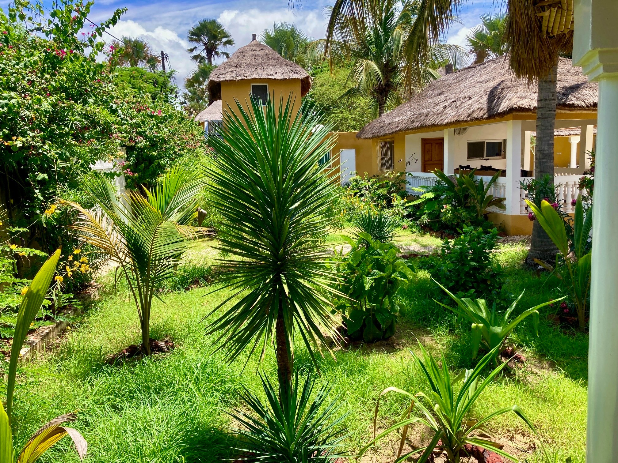 Jardin luxuriant et bungalows