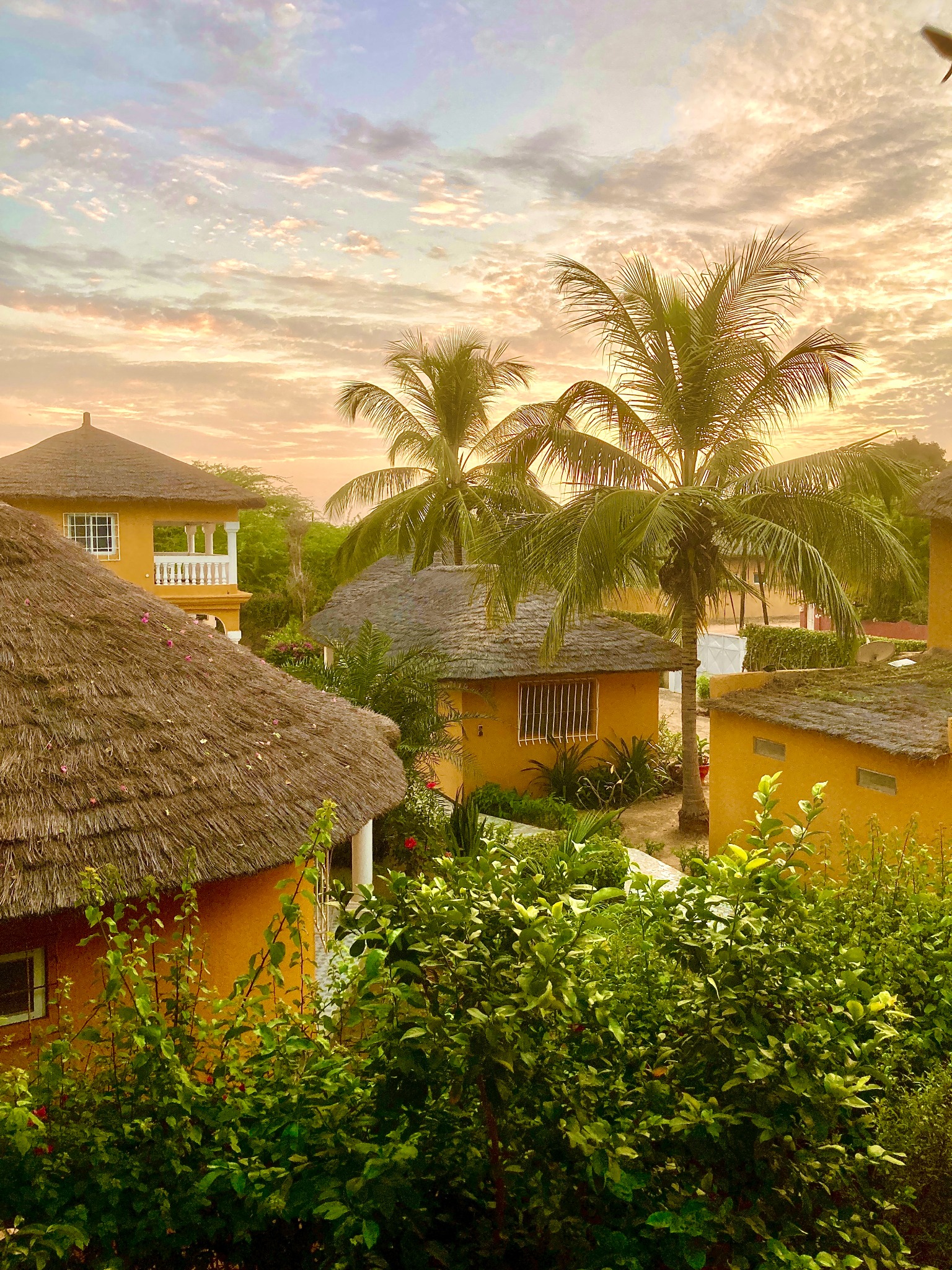 Jardin, palmiers et bungalows au coucher du soleil