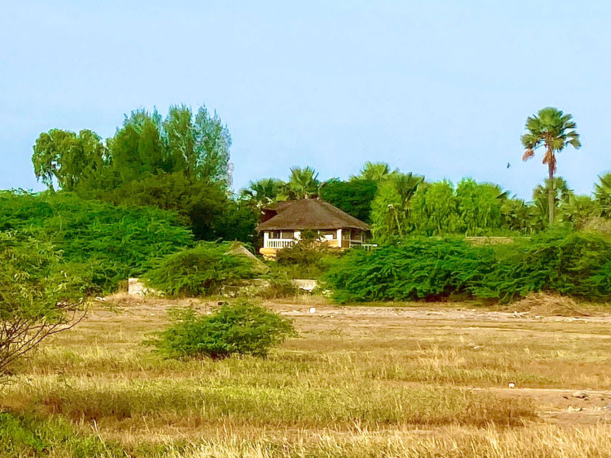 Paysage et végétation autour de la villa