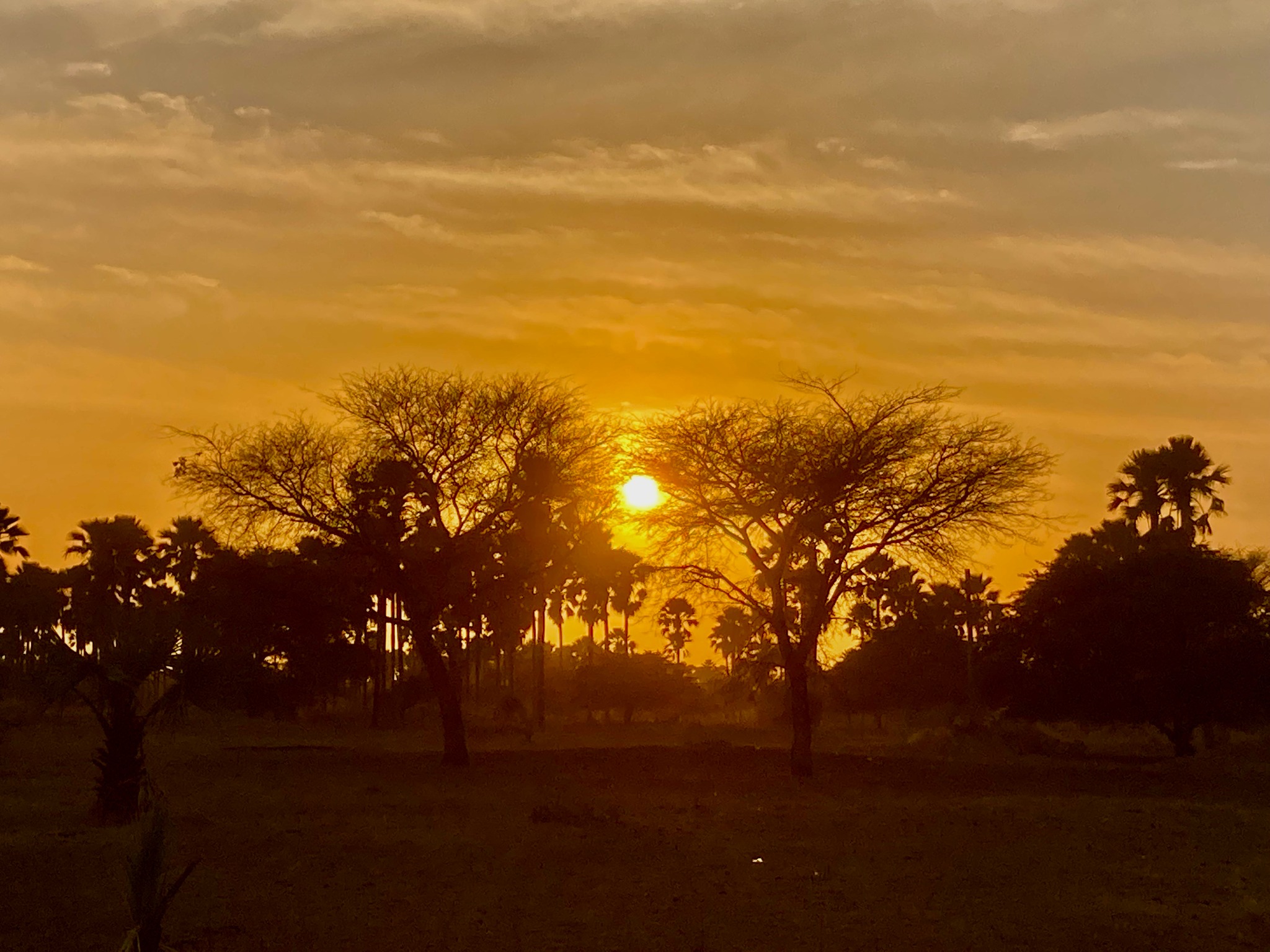 Paysage de brousse au coucher du soleil